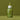 FILFLO Calm-Clera Infused Minari Calming Serum 45ml
