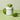 SUNGBOON EDITOR Green Tomato Pore Peeling Jumbo Pad 60 Sheets