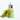 아누아 그린 레몬 비타민C 블레미쉬 세럼 20ml