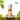 닥터슈라클 비건 콤부차 티 에센스 150ml